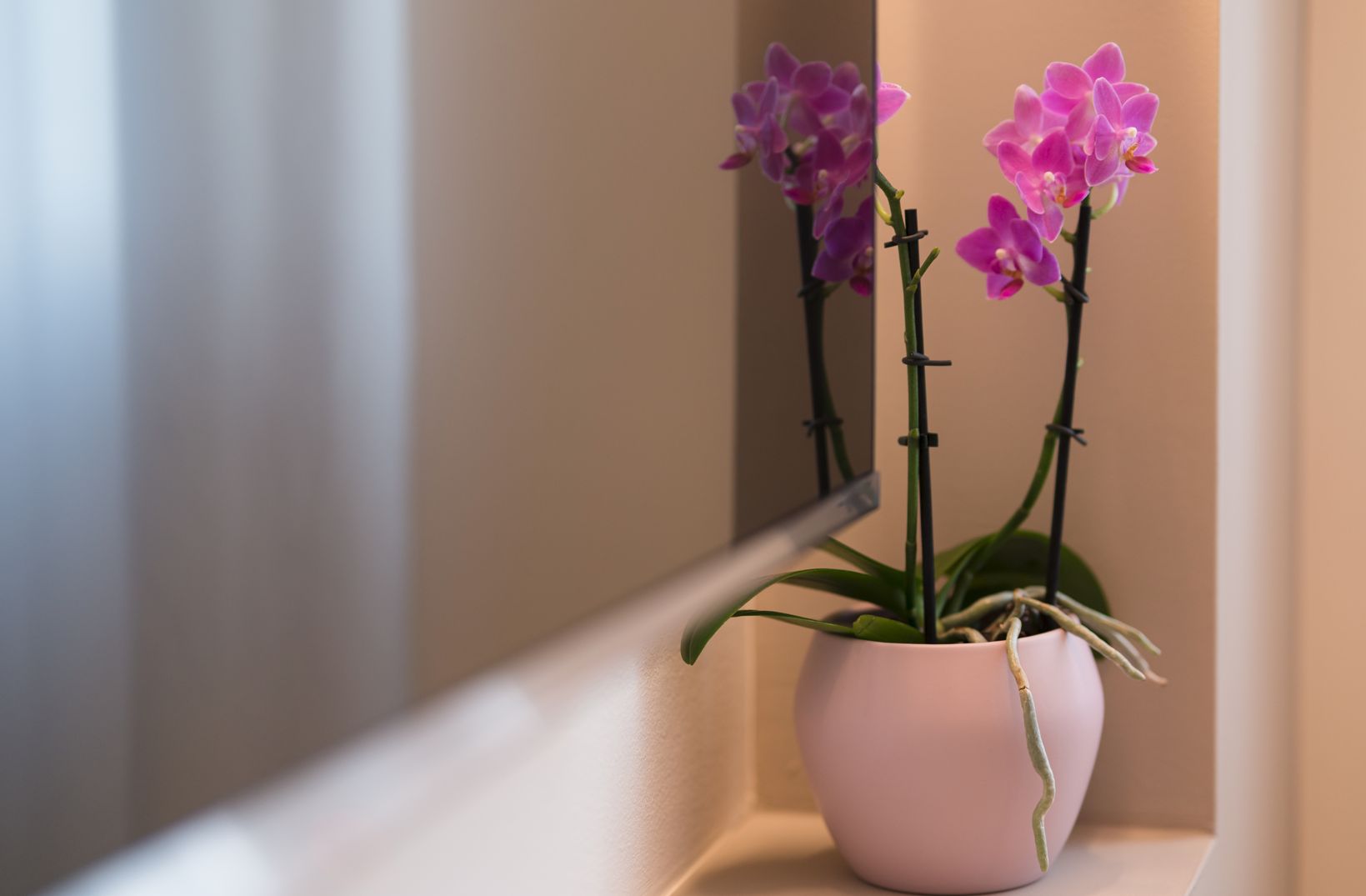 Appartamento 55.1 - Foto 8